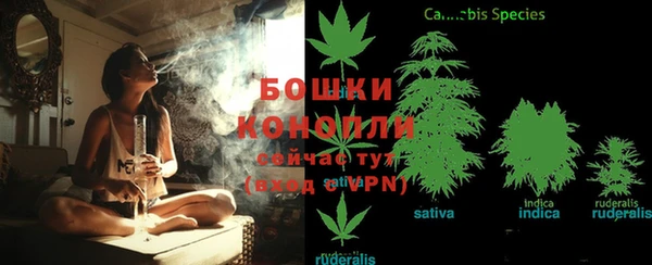 гашик Дмитриев