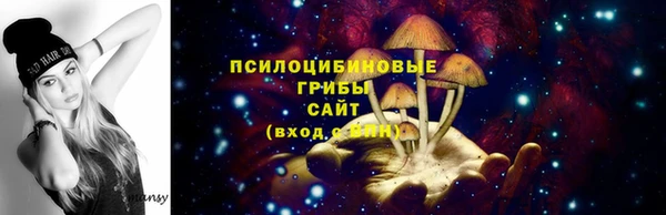 гашик Дмитриев