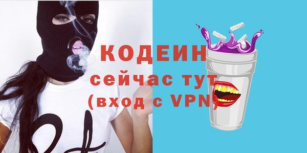 гашик Дмитриев