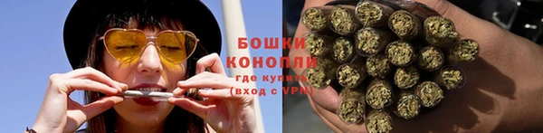 гашик Дмитриев
