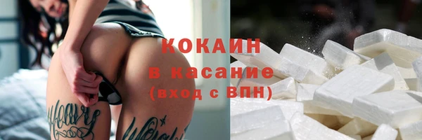 гашик Дмитриев