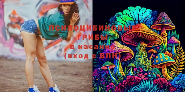 гашик Дмитриев